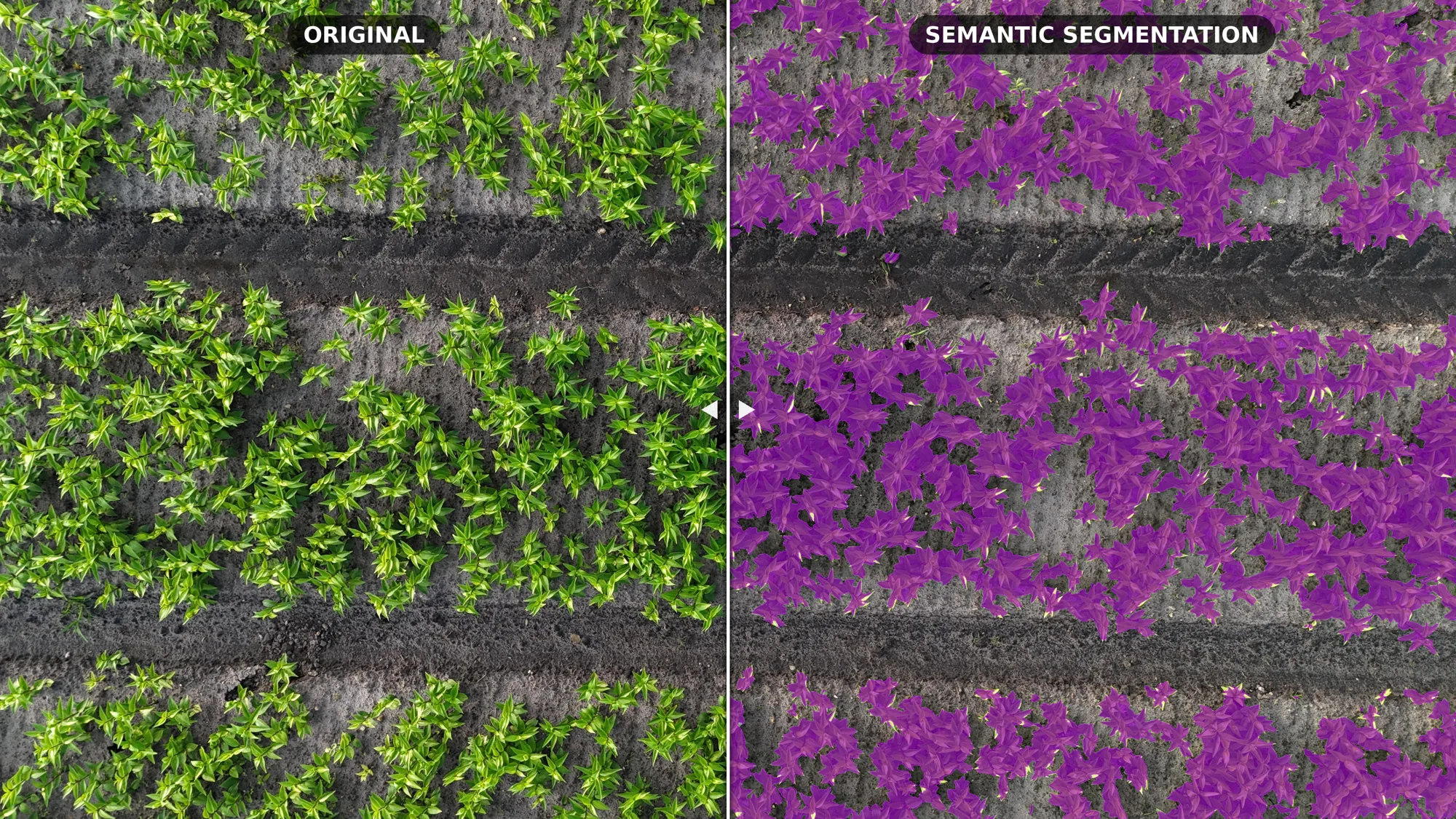 Semantic segmentation in the 3LC Dashboard